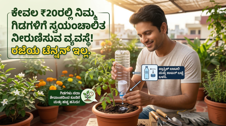 Automatic Drip Irrigation